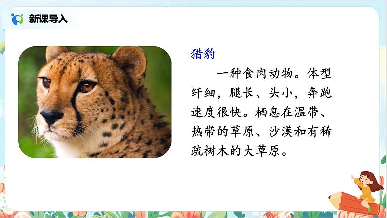 五上7《什么比猎豹的速度更快》课件+教案05