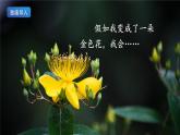 2《花的学校》课件+教案+导学案+素材