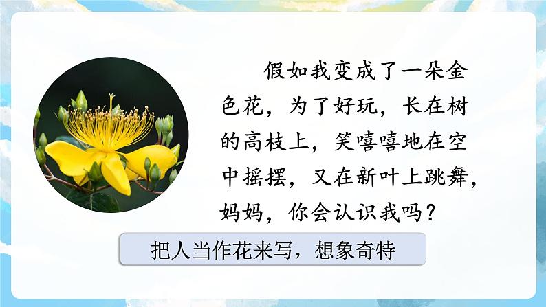 2《花的学校》课件+教案+导学案+素材06