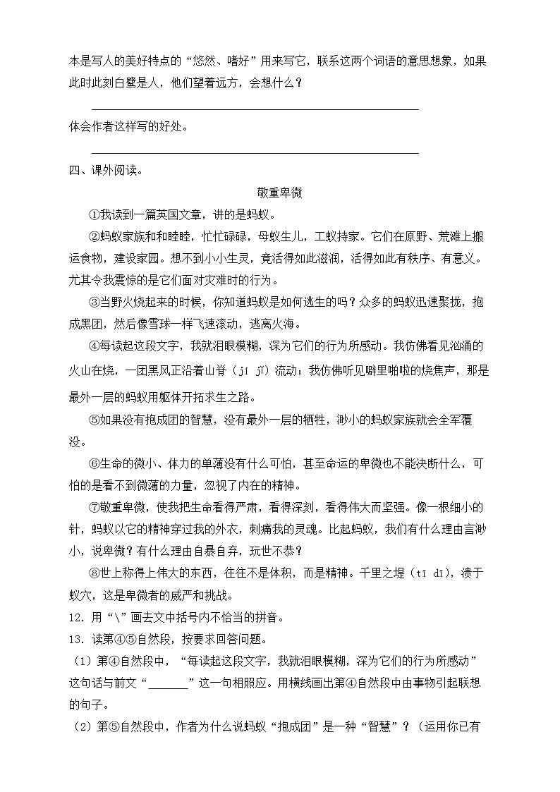 【新课标】部编版语文五年级上册第一单元素养提升专项训练-阅读篇03