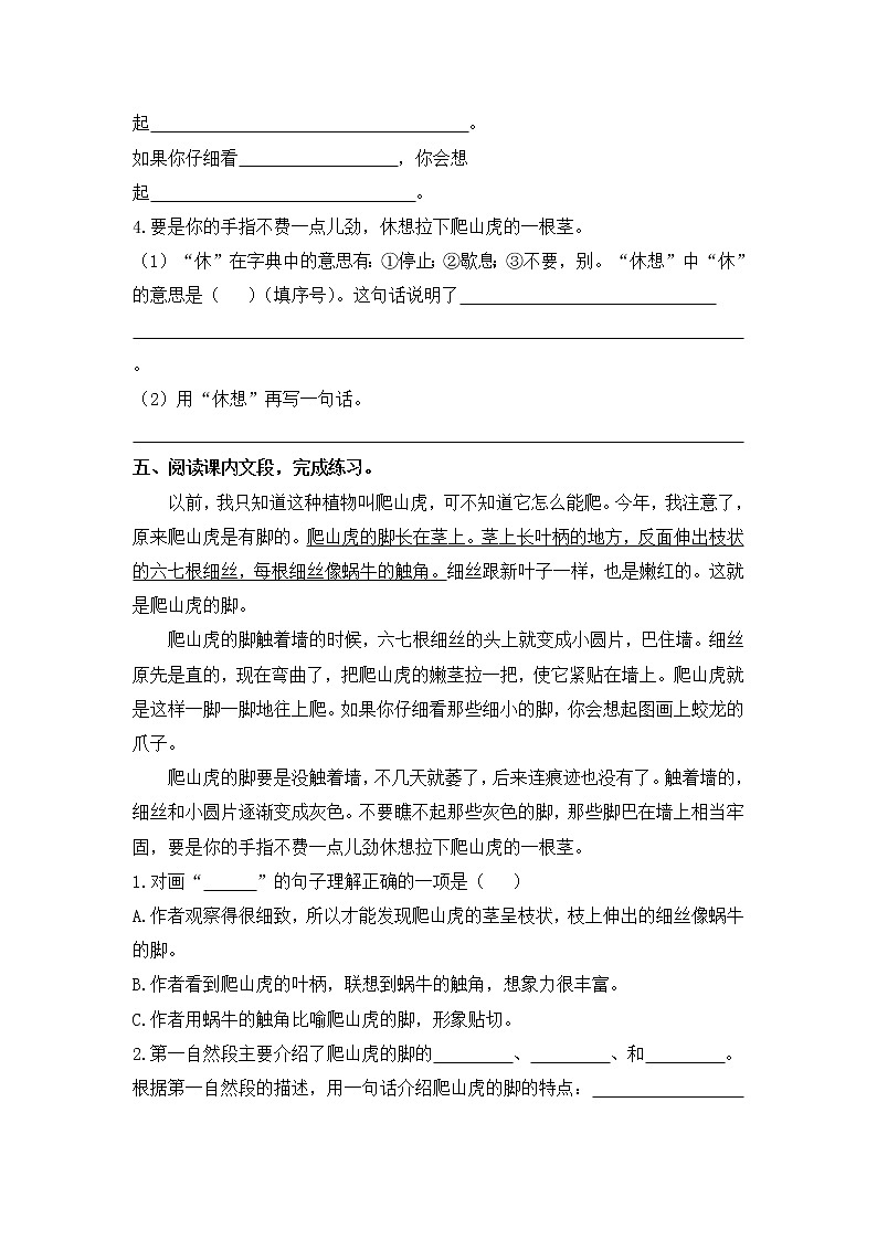 人教版四年级语文上册《爬山虎的脚》同步练习02