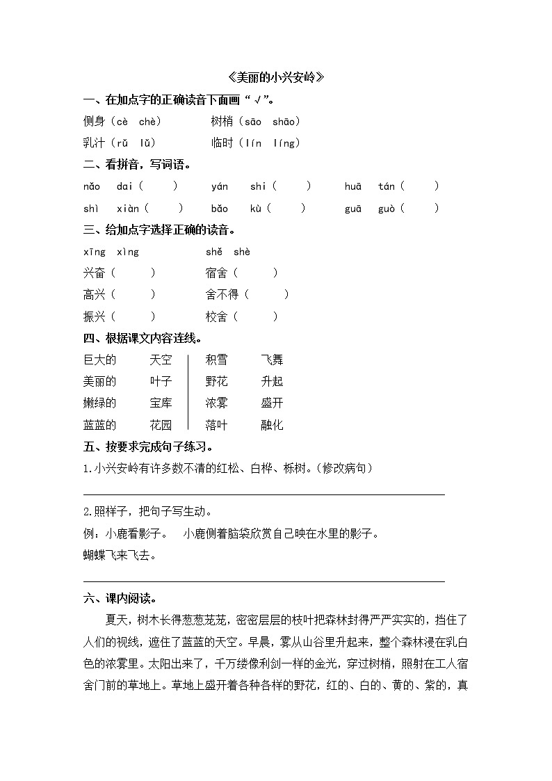 人教版三年级语文上册《美丽的小兴安岭》同步练习第1页