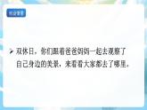 习作六 这儿真美 课件+教案