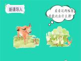 2022一年级语文上册第五单元识字7大朽少教学课件新人教版