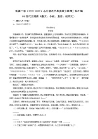 新疆三年（2020-2022）小升初语文卷真题分题型分层汇编-09现代文阅读（散文、小说、童话、说明文）