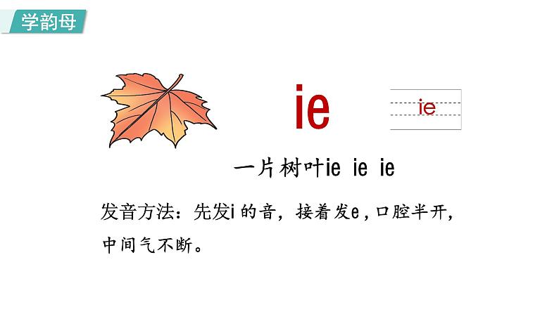 部编版小学语文一年级上册11.ie üe er第一课时课件06