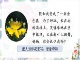 部编版语文三上 2 《花的学校》课件+教案