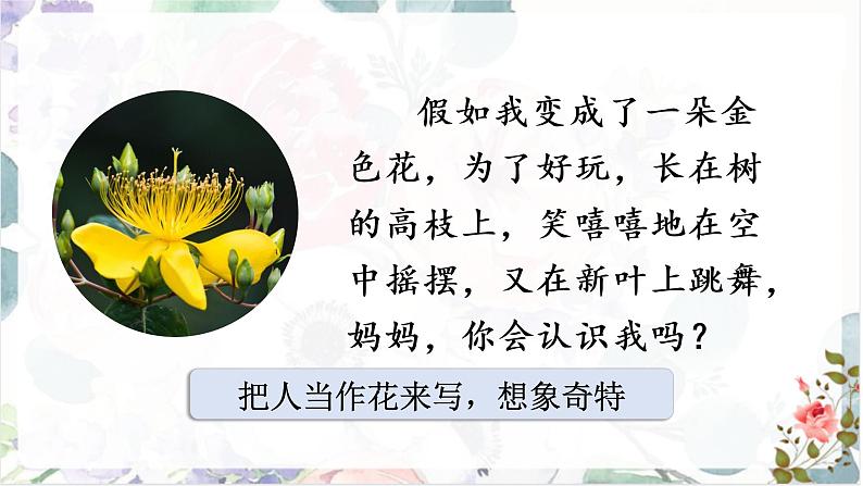 部编版语文三上 2 《花的学校》课件+教案04