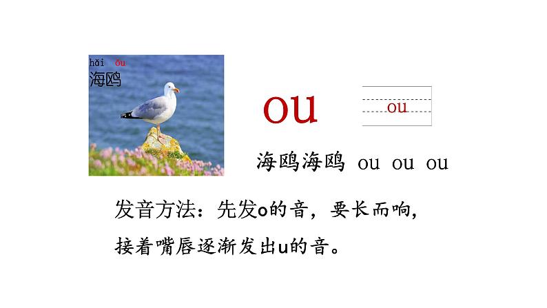 部编版小学语文一年级上册10.ao  ou  iu   课件第8页