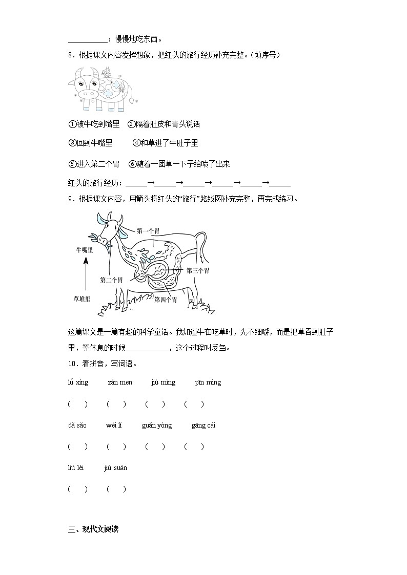 10.在牛肚子里旅行提升练习试题02