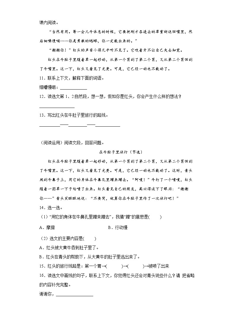 10.在牛肚子里旅行提升练习试题03