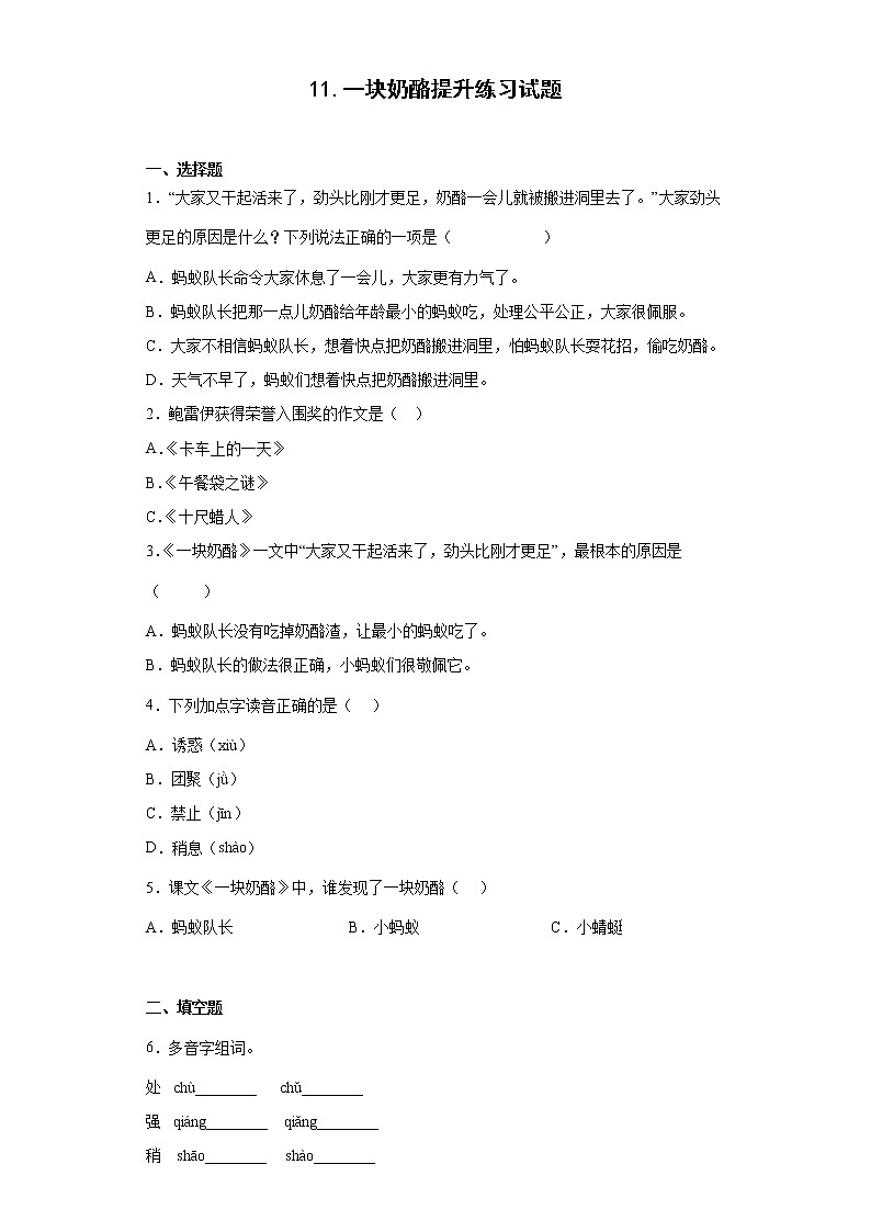 11.一块奶酪提升练习试题01