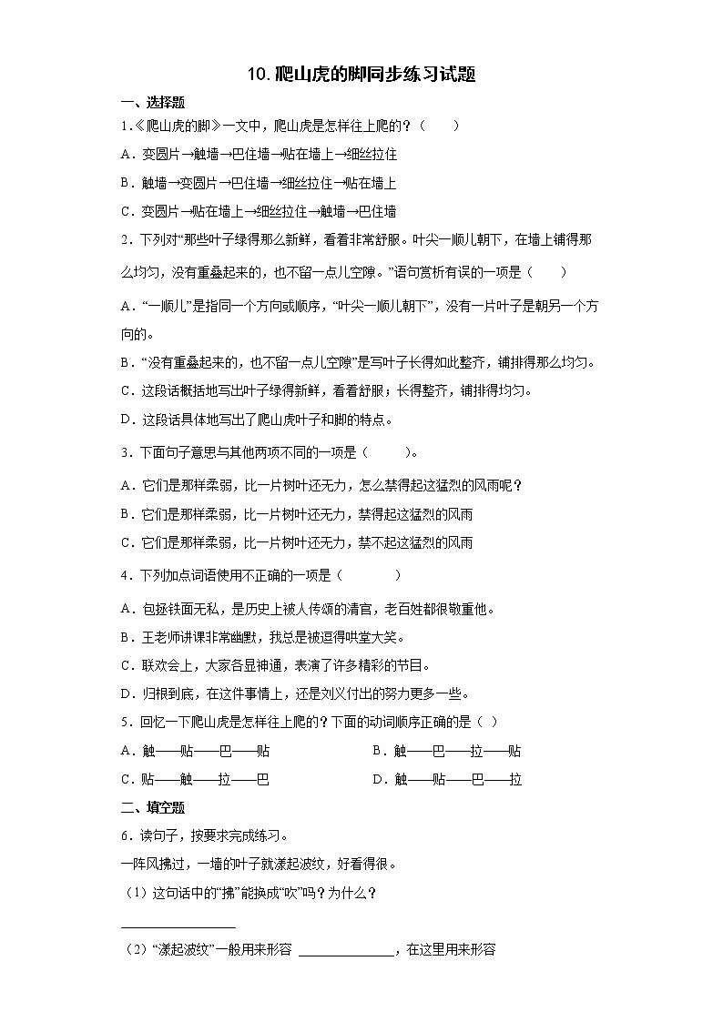 10.爬山虎的脚同步练习试题-2022-2023学年部编版语文四年级上册01