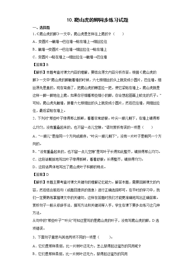 10.爬山虎的脚同步练习试题-2022-2023学年部编版语文四年级上册01
