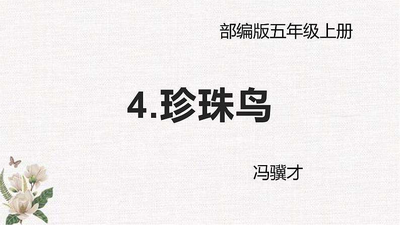 2022-2023学年部编版语文《珍珠鸟》创意清新古风课件01