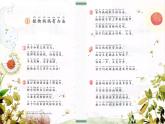 3《植物妈妈有办法》第二课时（课件）部编版语文二年级上册