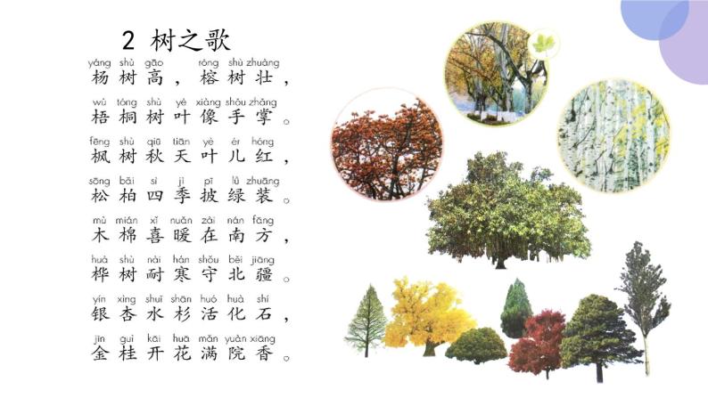人教部编版二年级上册2 树之歌课文配套ppt课件-教习网|课件下载