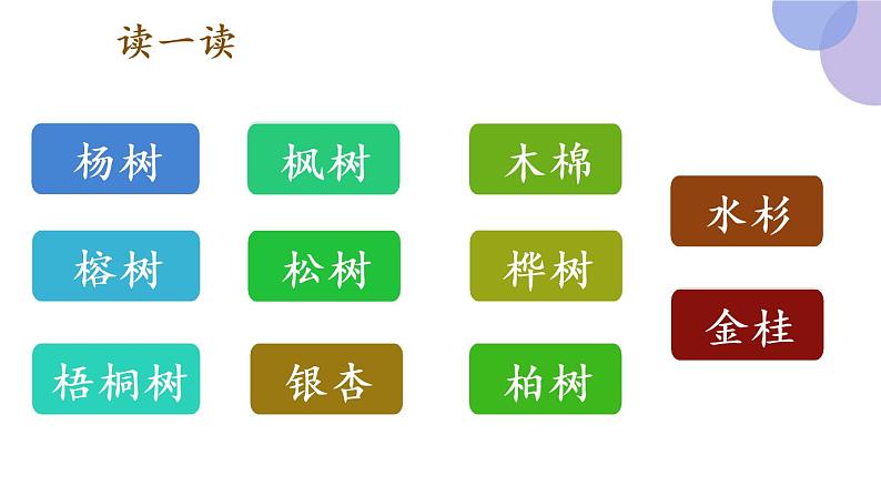 识字2《树之歌》（课件）部编版语文二年级上册06