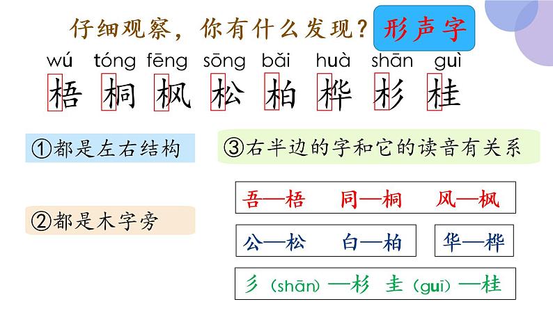 识字2《树之歌》（课件）部编版语文二年级上册07