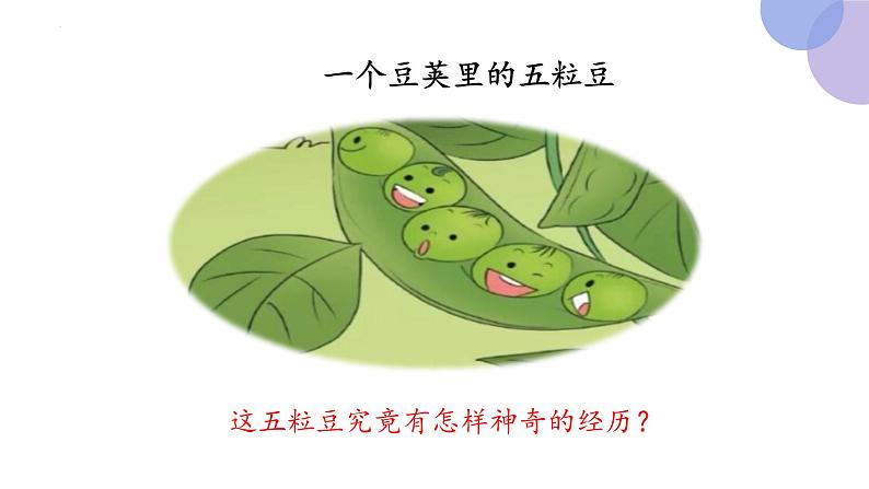 5 一个豆荚里的五粒豆（第一课时）（课件）部编版语文四年级上册第5页