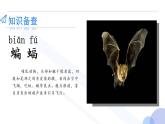 6 夜间飞行的秘密（第一课时）（课件）部编版语文四年级上册