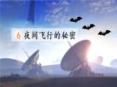 6 夜间飞行的秘密（第一课时）（课件）部编版语文四年级上册