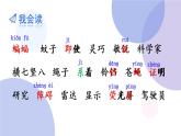 6 夜间飞行的秘密（第一课时）（课件）部编版语文四年级上册