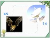 6 夜间飞行的秘密（第二课时）（课件）部编版语文四年级上册