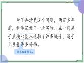 6 夜间飞行的秘密（第二课时）（课件）部编版语文四年级上册