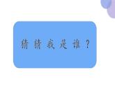 口语交际：《有趣的动物》（课件）部编版语文二年级上册