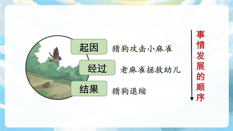 交流平台与初试身手 课件+教案04