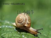 部编版小学语文一年级上册14《小蜗牛》（课件）