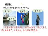 人教统编版语文一年级上册6.画   课件 (1)