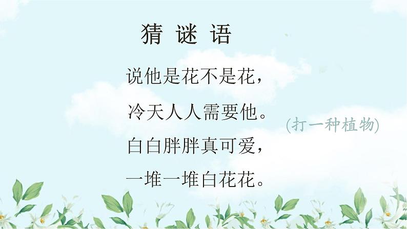 棉花姑娘课件第2页