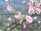 一年级上册语文教学课件-6 画（24）-部编版(共16张PPT)