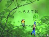 一年级上册语文教学课件-6 画（24）-部编版(共16张PPT)