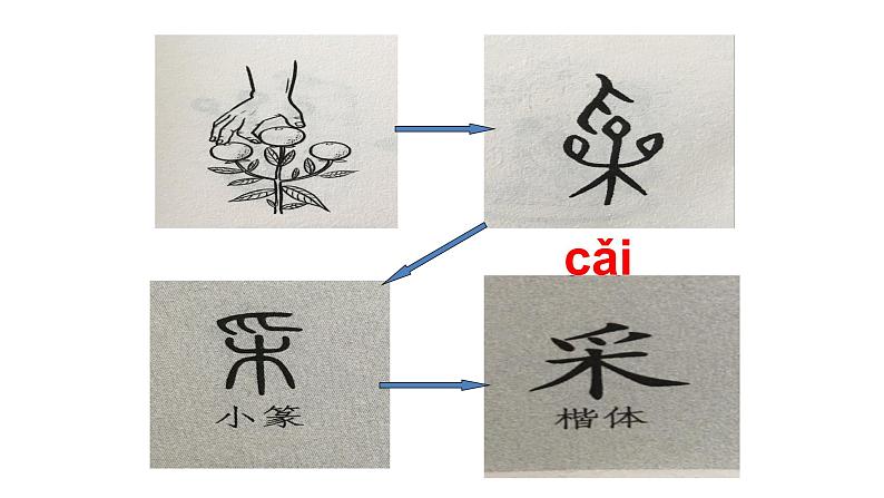 一年级上册语文课件-3 江南  (共42张PPT)   人教部编版07