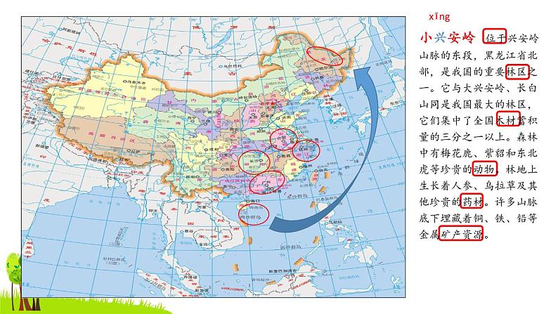 小学语文 部编版 三年级 美丽的小兴安岭（第一课时）课件02