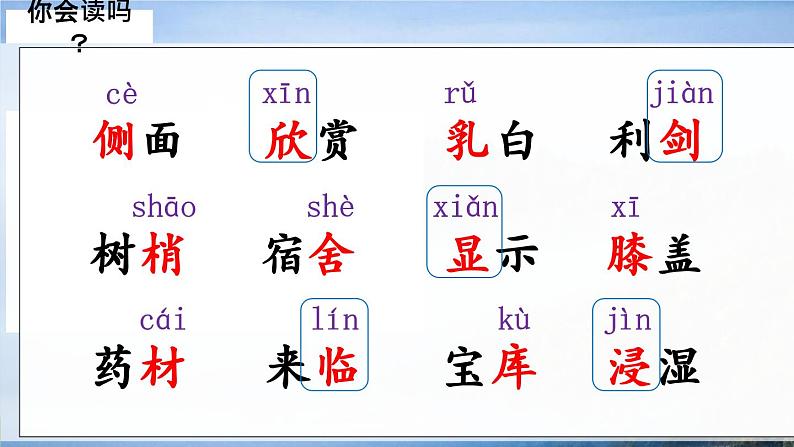 小学语文 部编版 三年级 美丽的小兴安岭（第一课时）课件06