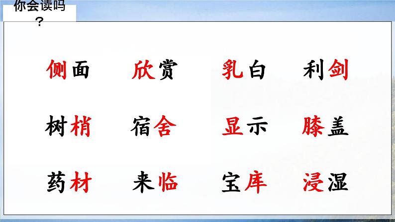 小学语文 部编版 三年级 美丽的小兴安岭（第一课时）课件07