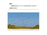 小学语文 部编版 三年级 富饶的西沙群岛（第二课时）课件