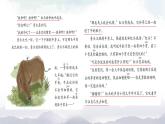 小学语文 部编版 三年级 在牛肚子里旅行（第二课时）课件
