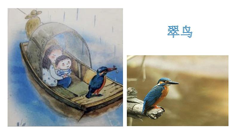 小学语文 部编版 三年级 习作：我们眼中的缤纷世界 课件第2页