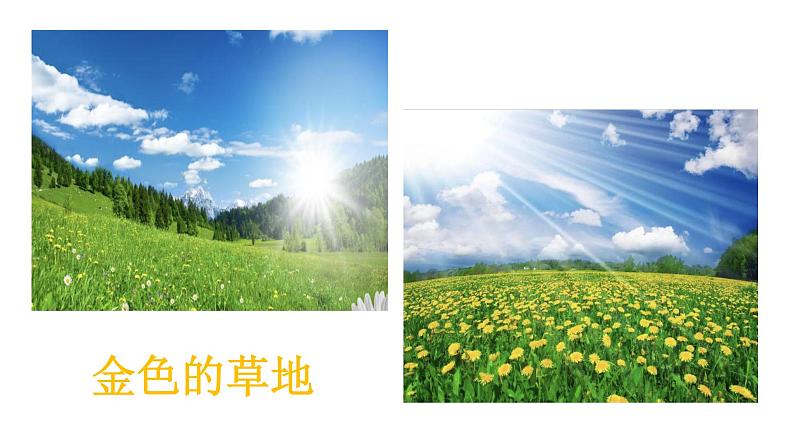 小学语文 部编版 三年级 习作：我们眼中的缤纷世界 课件第4页