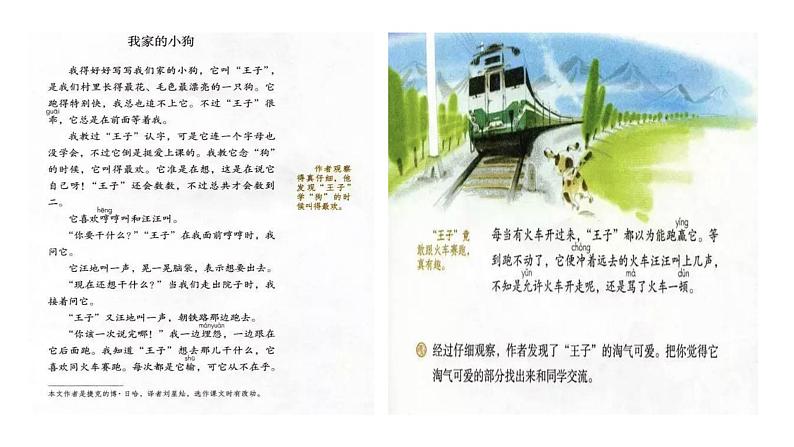 小学语文 部编版 三年级 习作：我们眼中的缤纷世界 课件第5页