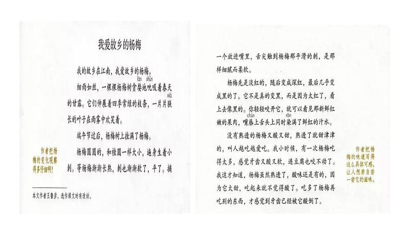 小学语文 部编版 三年级 习作：我们眼中的缤纷世界 课件第6页