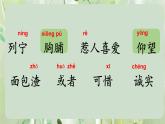 小学语文 部编版 三年级 灰雀（第一课时）课件