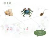 小学语文 部编版 三年级上册 语文园地六（第一课时）课件