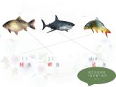 小学语文 部编版 三年级上册 语文园地六（第一课时）课件