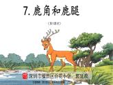 小学语文 部编版 三年级下册 第7课《鹿角和鹿腿》 第1课时课件